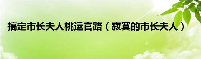 搞定市长夫人桃运官路（寂寞的市长夫人）