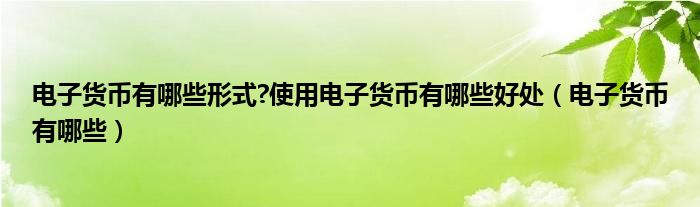 电子货币有哪些形式?使用电子货币有哪些好处（电子货币有哪些）