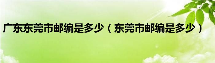广东东莞市邮编是多少（东莞市邮编是多少）