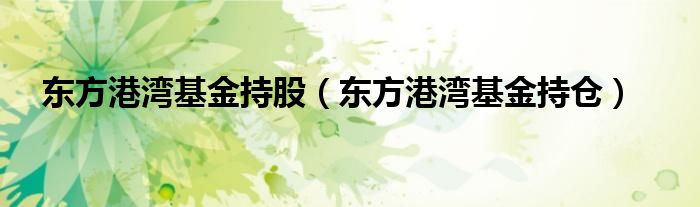 东方港湾基金持股（东方港湾基金持仓）