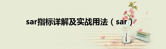 sar指标详解及实战用法（sar）