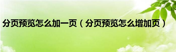 分页预览怎么加一页（分页预览怎么增加页）