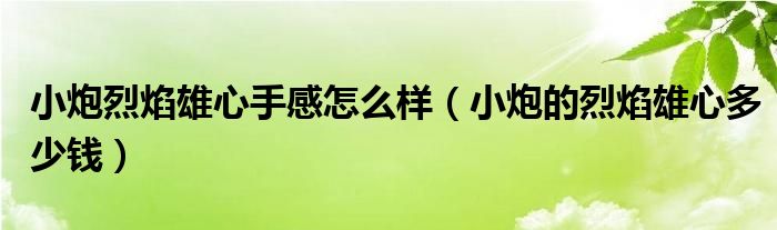 小炮烈焰雄心手感怎么样（小炮的烈焰雄心多少钱）