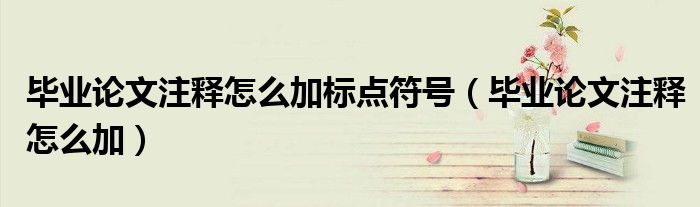 毕业论文注释怎么加标点符号（毕业论文注释怎么加）