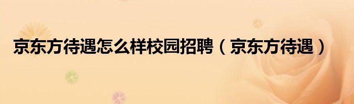 京东方待遇怎么样校园招聘（京东方待遇）