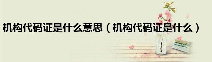 机构代码证是什么意思（机构代码证是什么）