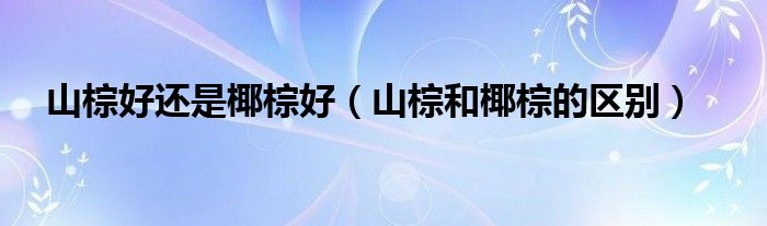 山棕好还是椰棕好（山棕和椰棕的区别）