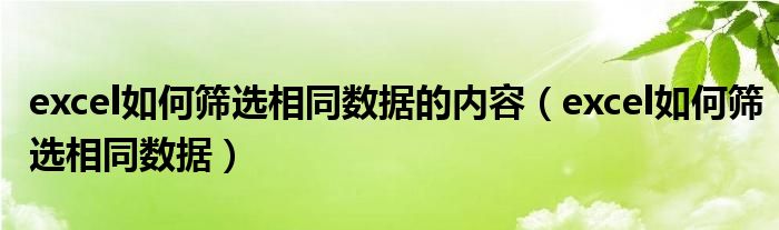 excel如何筛选相同数据的内容（excel如何筛选相同数据）