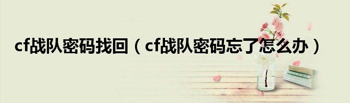 cf战队密码找回（cf战队密码忘了怎么办）