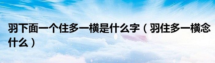 羽下面一个住多一横是什么字（羽住多一横念什么）