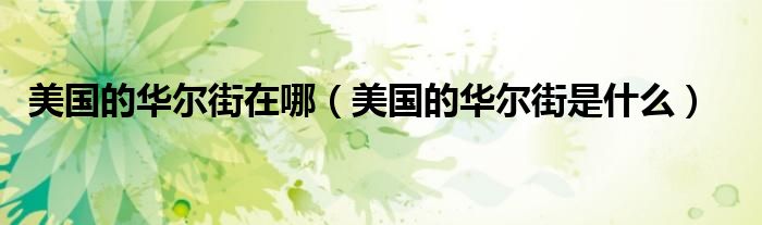 美国的华尔街在哪（美国的华尔街是什么）