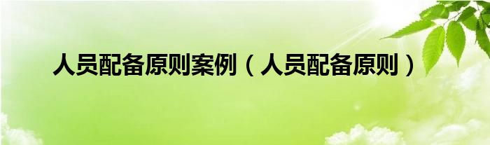 人员配备原则案例（人员配备原则）