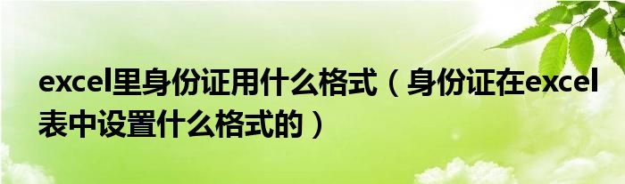 excel里身份证用什么格式（身份证在excel表中设置什么格式的）