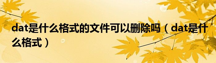 dat是什么格式的文件可以删除吗（dat是什么格式）