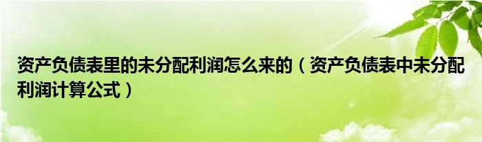 资产负债表里的未分配利润怎么来的（资产负债表中未分配利润计算公式）
