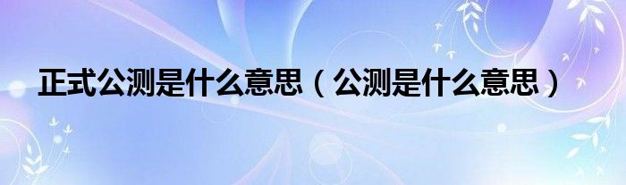 正式公测是什么意思（公测是什么意思）
