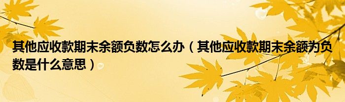 其他应收款期末余额负数怎么办（其他应收款期末余额为负数是什么意思）