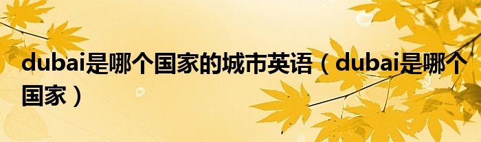 dubai是哪个国家的城市英语（dubai是哪个国家）