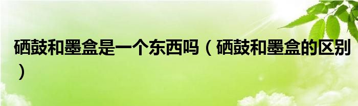硒鼓和墨盒是一个东西吗（硒鼓和墨盒的区别）