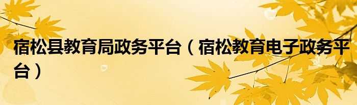 宿松县教育局政务平台（宿松教育电子政务平台）