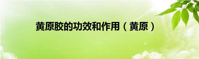 黄原胶的功效和作用（黄原）