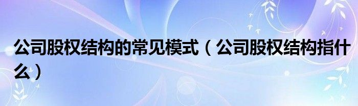 公司股权结构的常见模式（公司股权结构指什么）