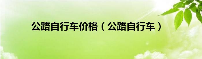 公路自行车价格（公路自行车）