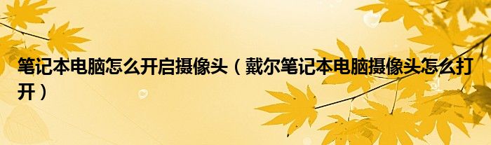 笔记本电脑怎么开启摄像头（戴尔笔记本电脑摄像头怎么打开）