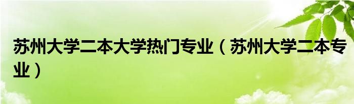苏州大学二本大学热门专业（苏州大学二本专业）