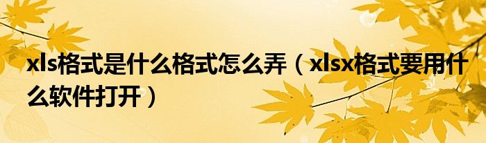 xls格式是什么格式怎么弄（xlsx格式要用什么软件打开）