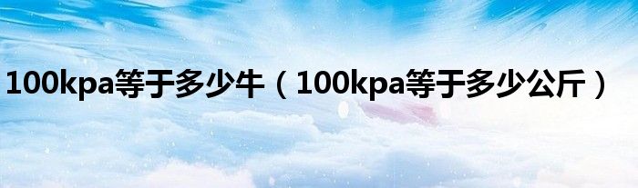 100kpa等于多少牛（100kpa等于多少公斤）