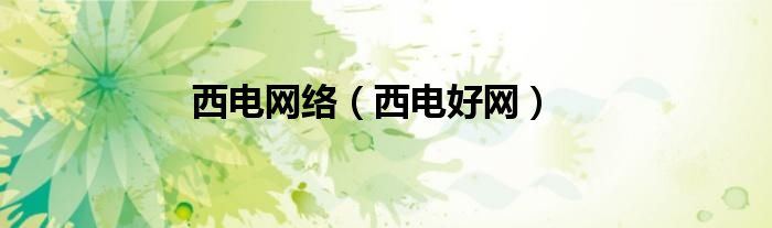 西电网络（西电好网）