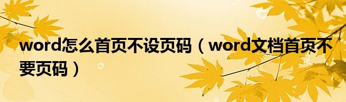 word怎么首页不设页码（word文档首页不要页码）