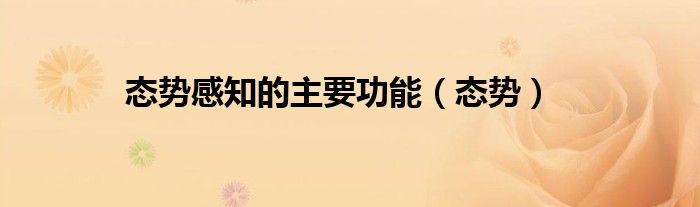 态势感知的主要功能（态势）