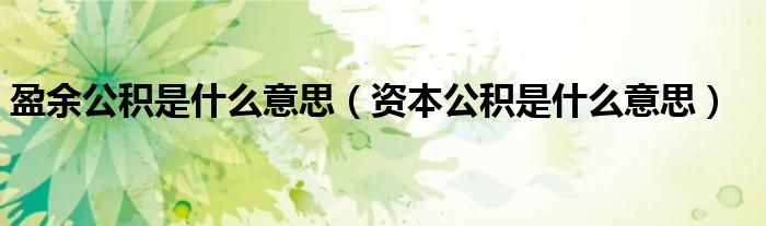 盈余公积是什么意思（资本公积是什么意思）