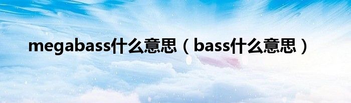 megabass什么意思（bass什么意思）