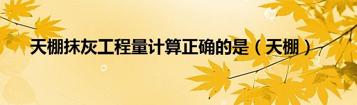 天棚抹灰工程量计算正确的是（天棚）