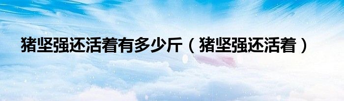 猪坚强还活着有多少斤（猪坚强还活着）