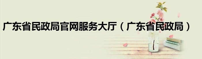 广东省民政局官网服务大厅（广东省民政局）