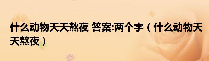 什么动物天天熬夜 答案:两个字（什么动物天天熬夜）