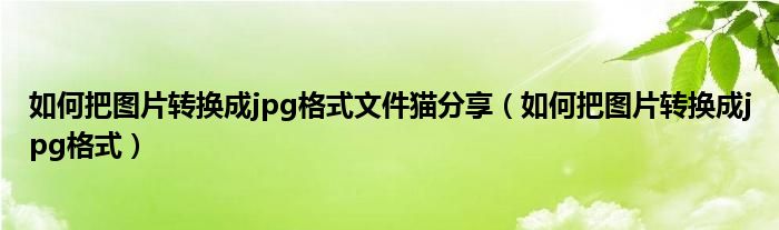 如何把图片转换成jpg格式文件猫分享（如何把图片转换成jpg格式）