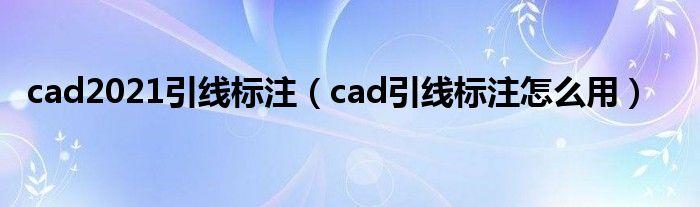 cad2021引线标注（cad引线标注怎么用）