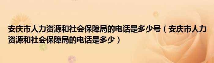 安庆市人力资源和社会保障局的电话是多少号（安庆市人力资源和社会保障局的电话是多少）