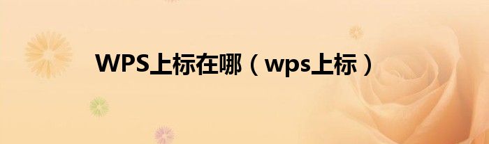 WPS上标在哪（wps上标）