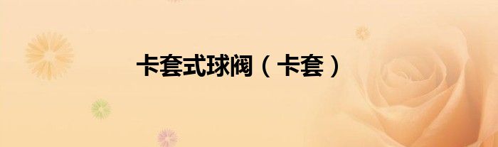 卡套式球阀（卡套）