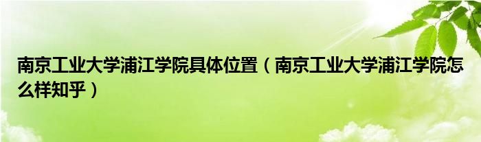 南京工业大学浦江学院具体位置（南京工业大学浦江学院怎么样知乎）
