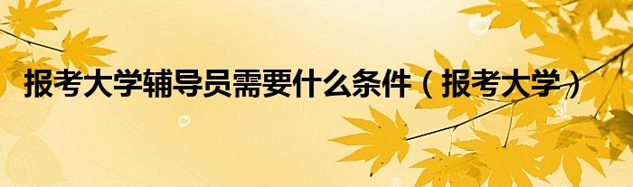 报考大学辅导员需要什么条件（报考大学）