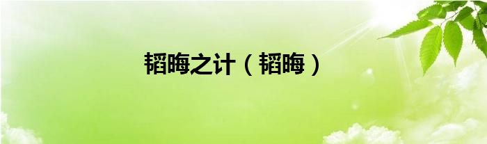 韬晦之计（韬晦）
