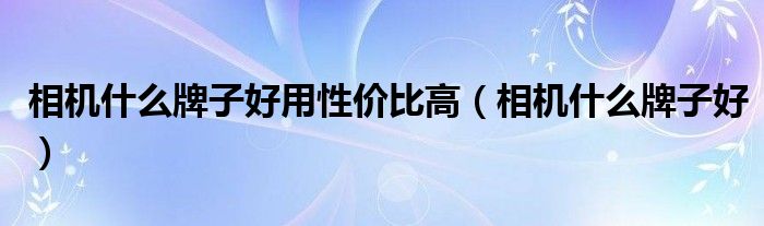 相机什么牌子好用性价比高（相机什么牌子好）