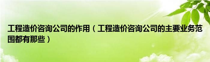 工程造价咨询公司的作用（工程造价咨询公司的主要业务范围都有那些）